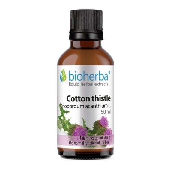 Magareći trn biljne kapi/tInktura (bezalkoholna) 50 ml - Bioherba