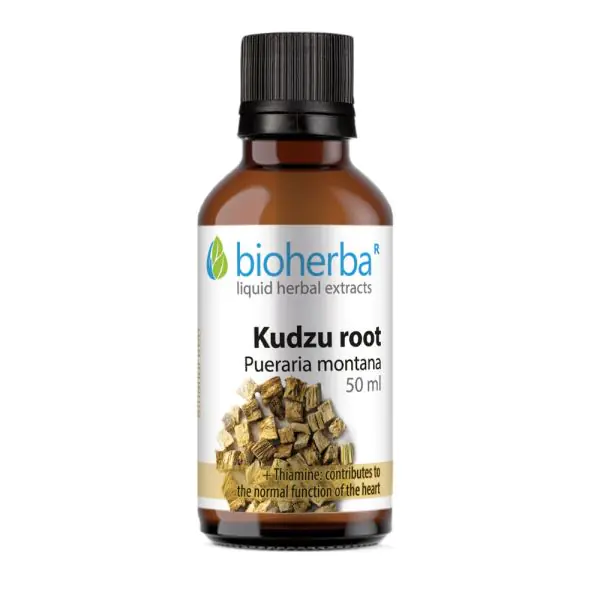 Japanski marant biljne kapi/tinktura (bezalkoholna), a 50 ml - Bioherba Japanski marant kapi